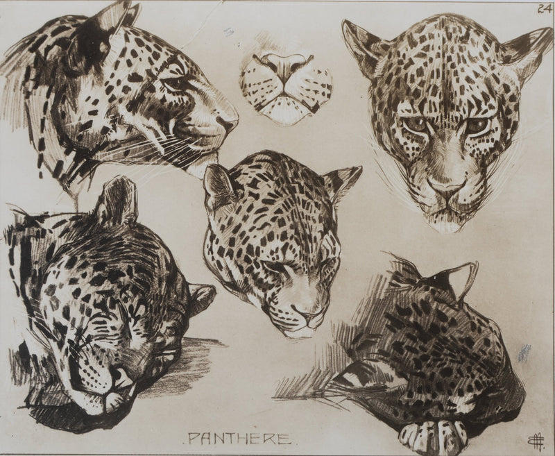 Mathurin MEHEUT : La Panthère, Lithographie signée