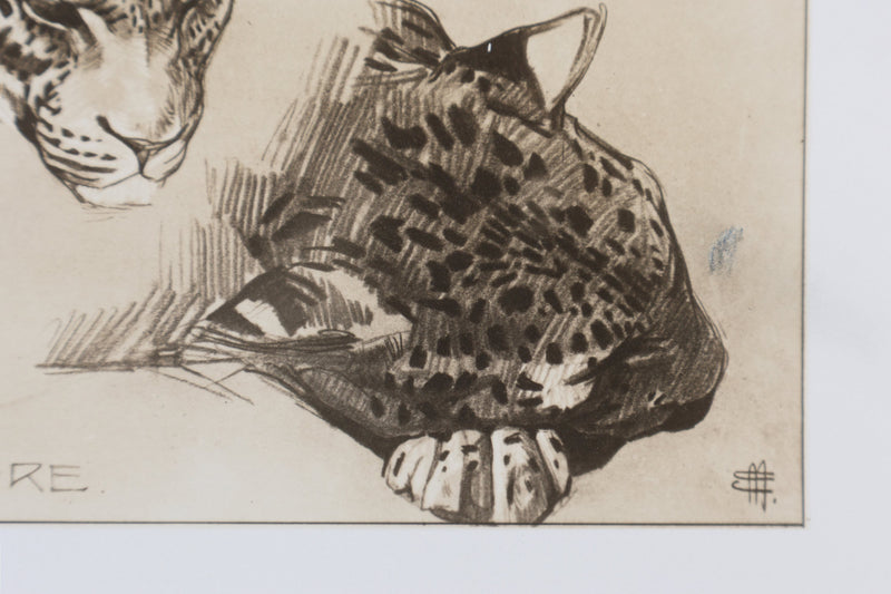 Mathurin MEHEUT : La Panthère, Lithographie signée