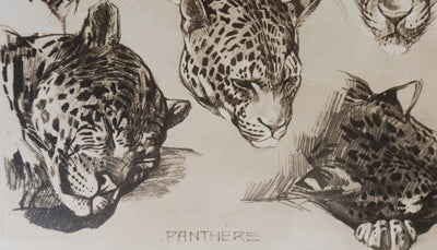 Mathurin MEHEUT : La Panthère, Lithographie signée