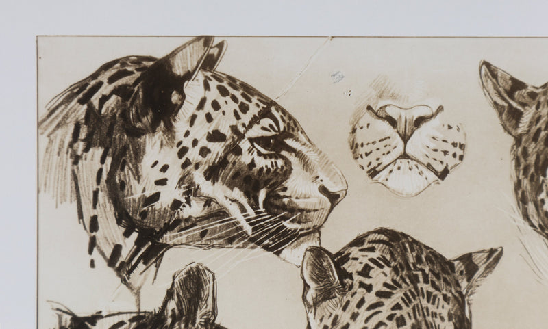 Mathurin MEHEUT : La Panthère, Lithographie signée