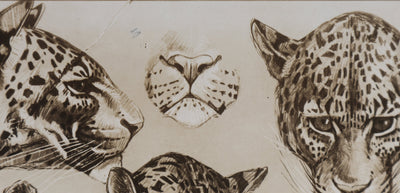 Mathurin MEHEUT : La Panthère, Lithographie signée