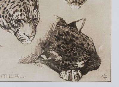 Mathurin MEHEUT : La Panthère, Lithographie signée