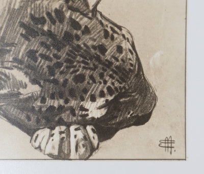 Mathurin MEHEUT : La Panthère, Lithographie signée