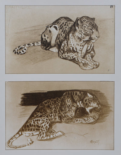 Mathurin MEHEUT : La Panthère, Lithographie signée
