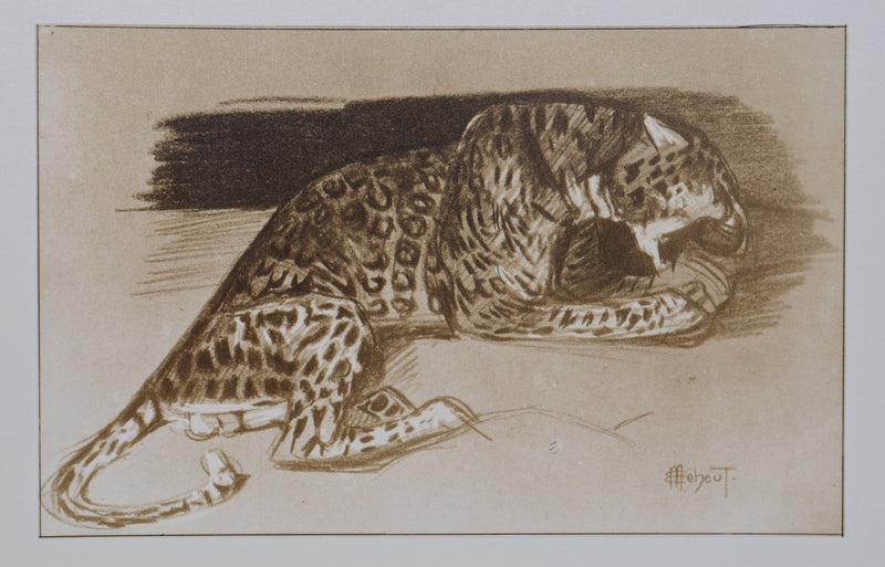 Mathurin MEHEUT : La Panthère, Lithographie signée