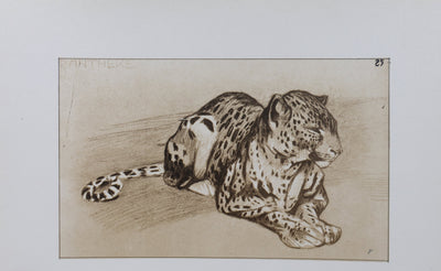 Mathurin MEHEUT : La Panthère, Lithographie signée