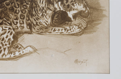 Mathurin MEHEUT : La Panthère, Lithographie signée