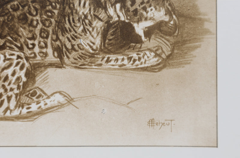 Mathurin MEHEUT : La Panthère, Lithographie signée