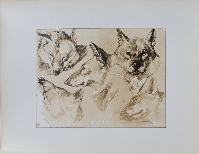 Mathurin MEHEUT : Le Loup, Lithographie signée