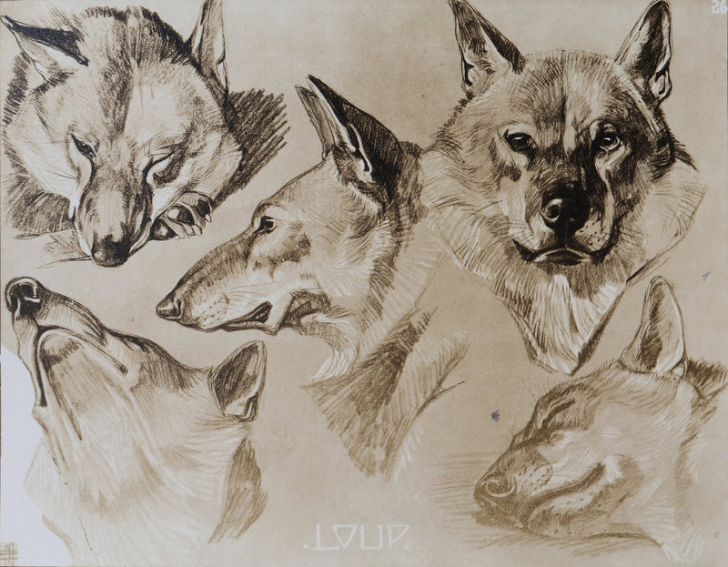 Mathurin MEHEUT : Le Loup, Lithographie signée