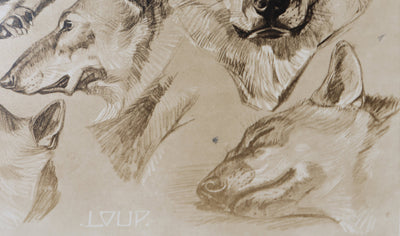 Mathurin MEHEUT : Le Loup, Lithographie signée