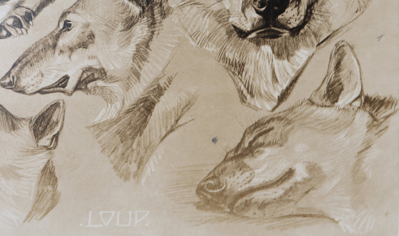 Mathurin MEHEUT : Le Loup, Lithographie signée