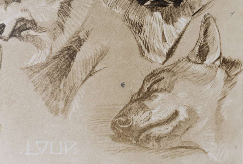 Mathurin MEHEUT : Le Loup, Lithographie signée