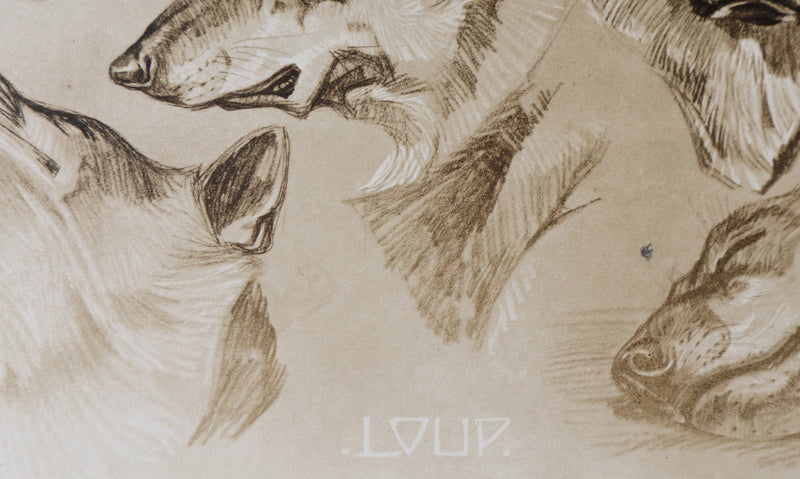 Mathurin MEHEUT : Le Loup, Lithographie signée