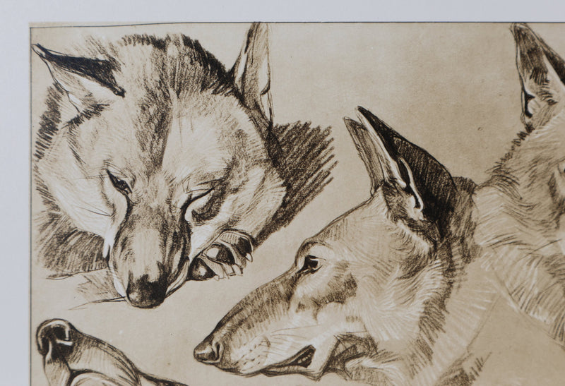 Mathurin MEHEUT : Le Loup, Lithographie signée