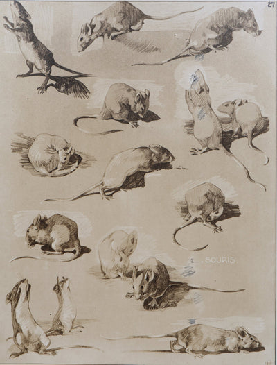 Mathurin MEHEUT : La Souris, Lithographie signée