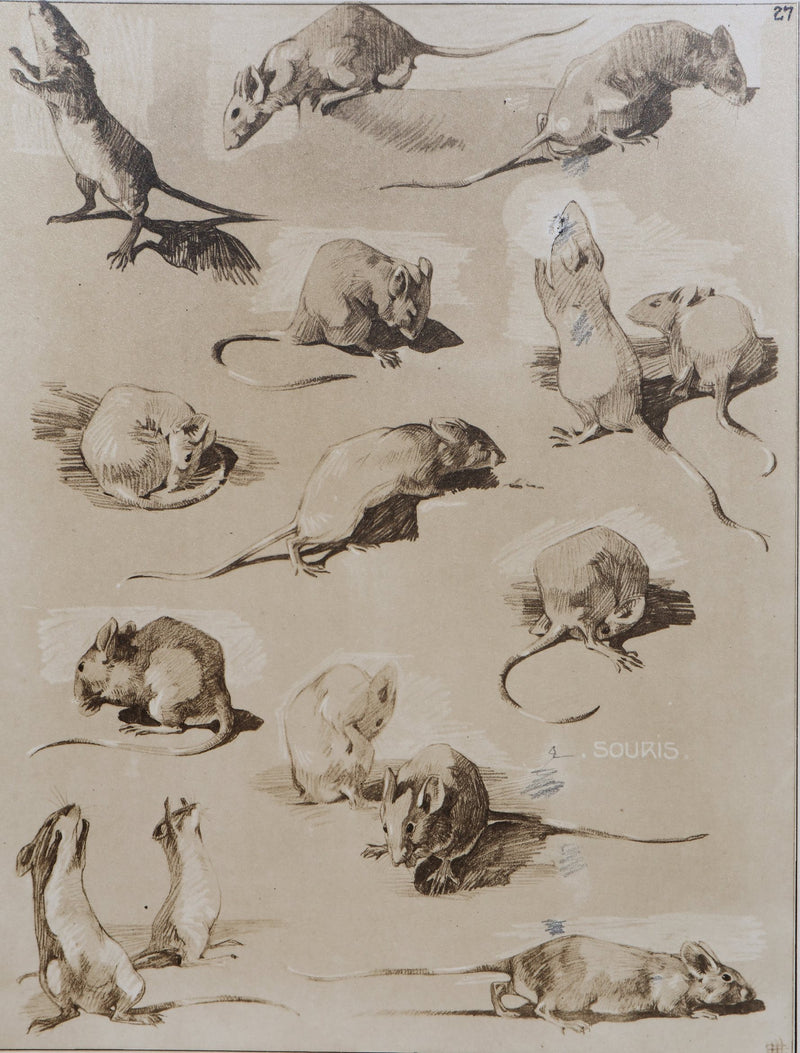 Mathurin MEHEUT : La Souris, Lithographie signée