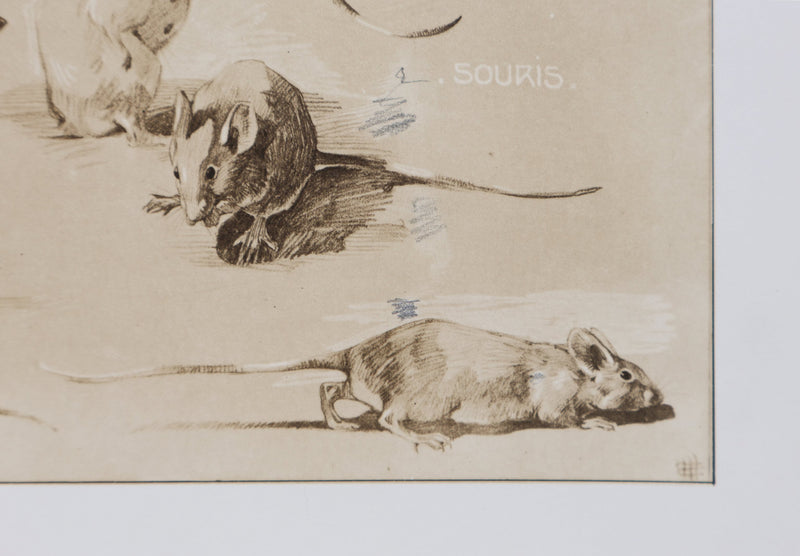 Mathurin MEHEUT : La Souris, Lithographie signée