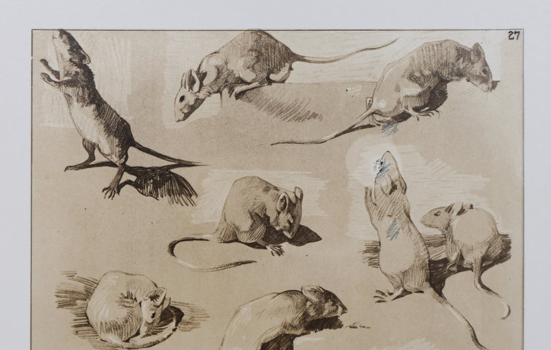 Mathurin MEHEUT : La Souris, Lithographie signée