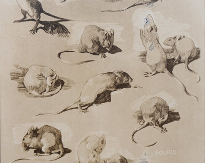 Mathurin MEHEUT : La Souris, Lithographie signée