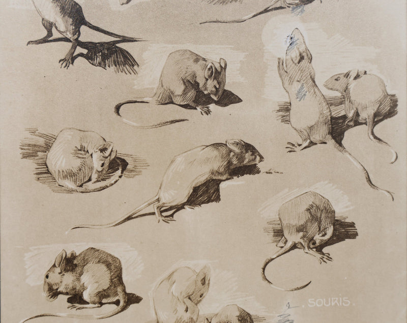Mathurin MEHEUT : La Souris, Lithographie signée