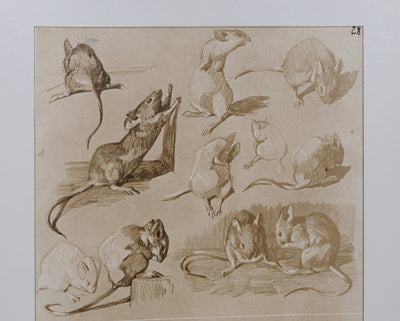 Mathurin MEHEUT : La Souris, Lithographie signée