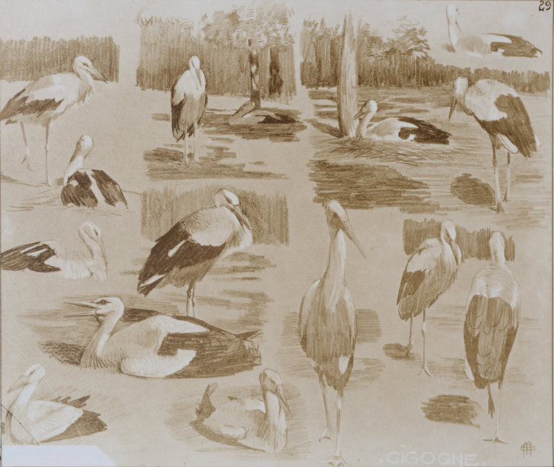 Mathurin MEHEUT : La Cigogne, Lithographie signée