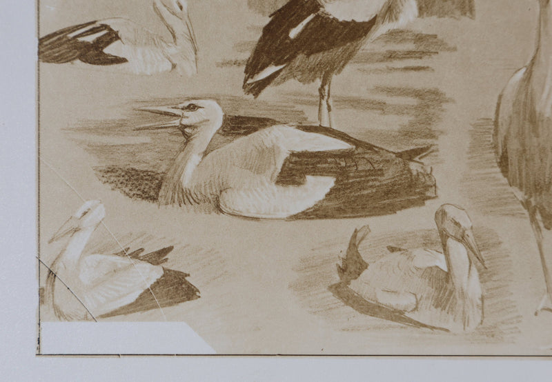Mathurin MEHEUT : La Cigogne, Lithographie signée