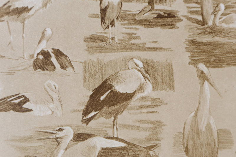 Mathurin MEHEUT : La Cigogne, Lithographie signée