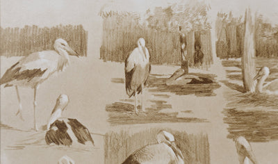 Mathurin MEHEUT : La Cigogne, Lithographie signée