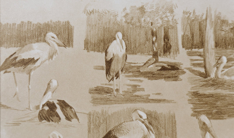 Mathurin MEHEUT : La Cigogne, Lithographie signée
