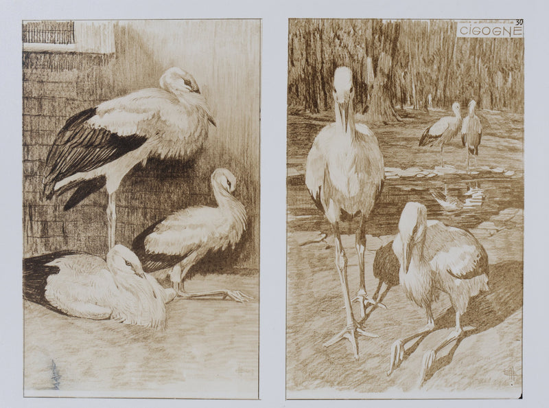 Mathurin MEHEUT : La Cigogne, Lithographie signée