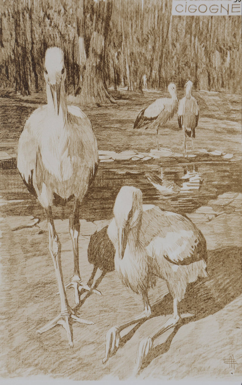 Mathurin MEHEUT : La Cigogne, Lithographie signée