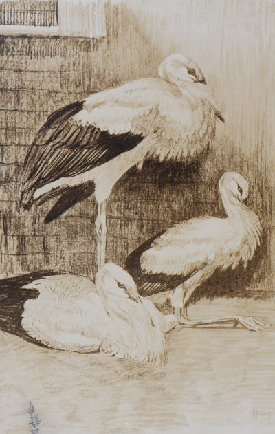 Mathurin MEHEUT : La Cigogne, Lithographie signée