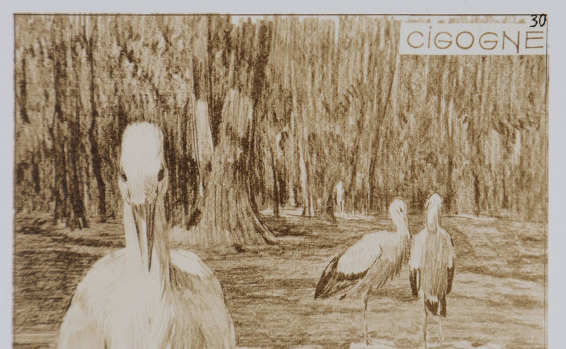 Mathurin MEHEUT : La Cigogne, Lithographie signée