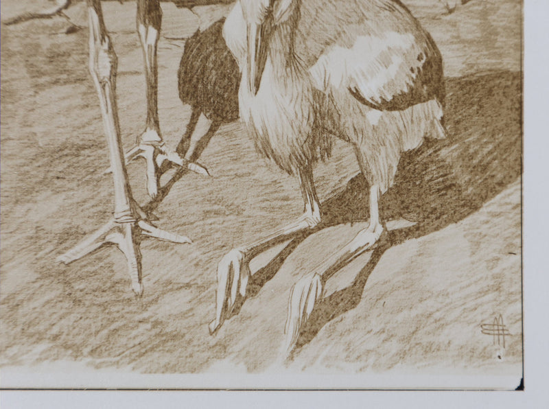 Mathurin MEHEUT : La Cigogne, Lithographie signée