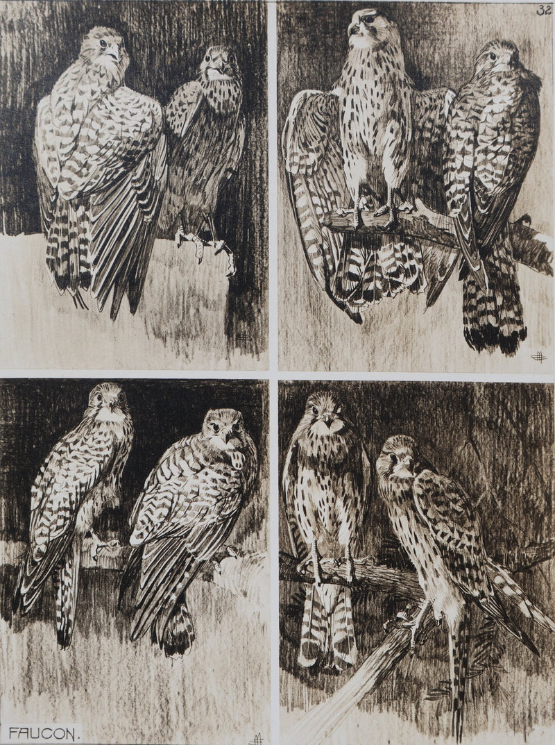 Mathurin MEHEUT : Le Faucon, Lithographie signée