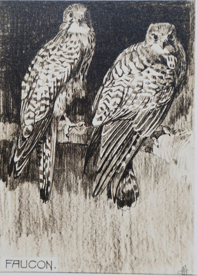 Mathurin MEHEUT : Le Faucon, Lithographie signée