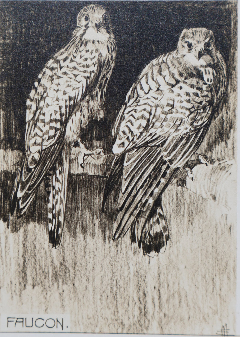 Mathurin MEHEUT : Le Faucon, Lithographie signée