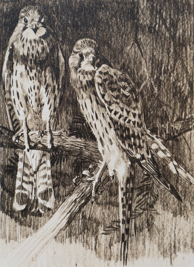 Mathurin MEHEUT : Le Faucon, Lithographie signée