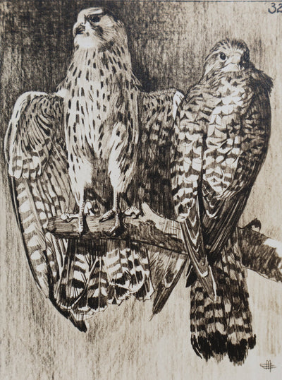 Mathurin MEHEUT : Le Faucon, Lithographie signée