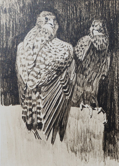 Mathurin MEHEUT : Le Faucon, Lithographie signée