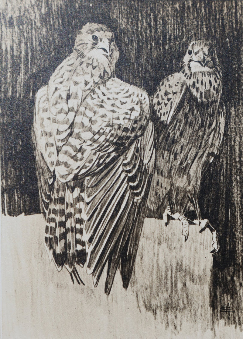 Mathurin MEHEUT : Le Faucon, Lithographie signée