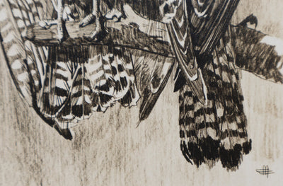 Mathurin MEHEUT : Le Faucon, Lithographie signée