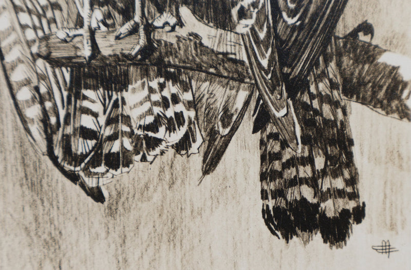 Mathurin MEHEUT : Le Faucon, Lithographie signée