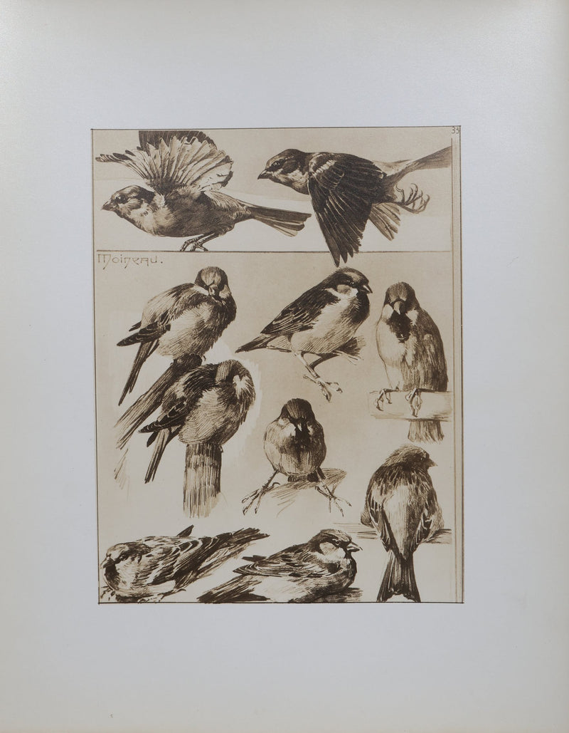 Mathurin MEHEUT : Le Moineau, Lithographie