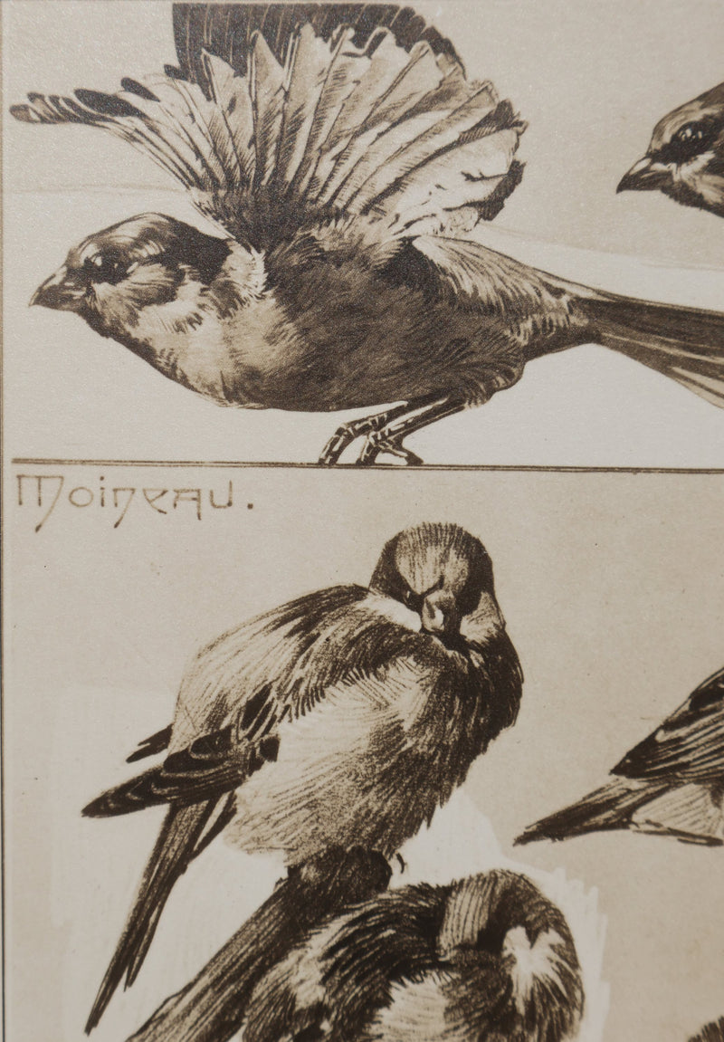 Mathurin MEHEUT : Le Moineau, Lithographie