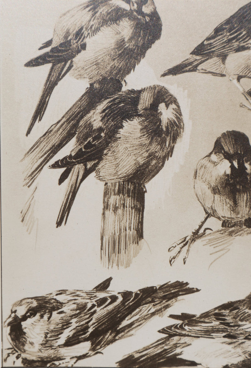Mathurin MEHEUT : Le Moineau, Lithographie