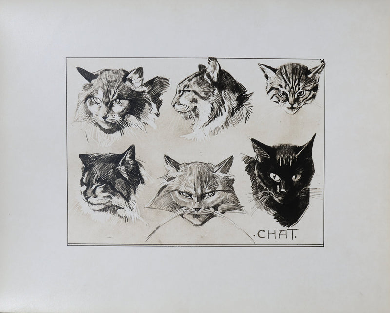 Mathurin MEHEUT : Le Chat, Lithographie
