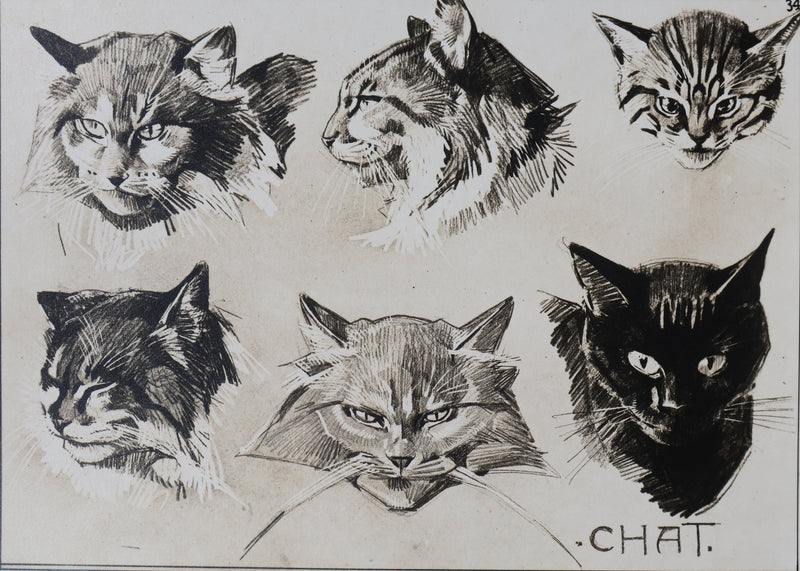 Mathurin MEHEUT : Le Chat, Lithographie